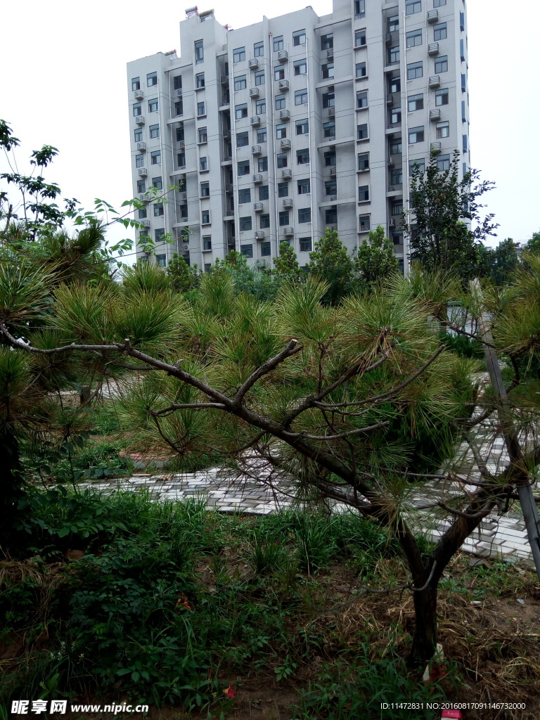 小区风景