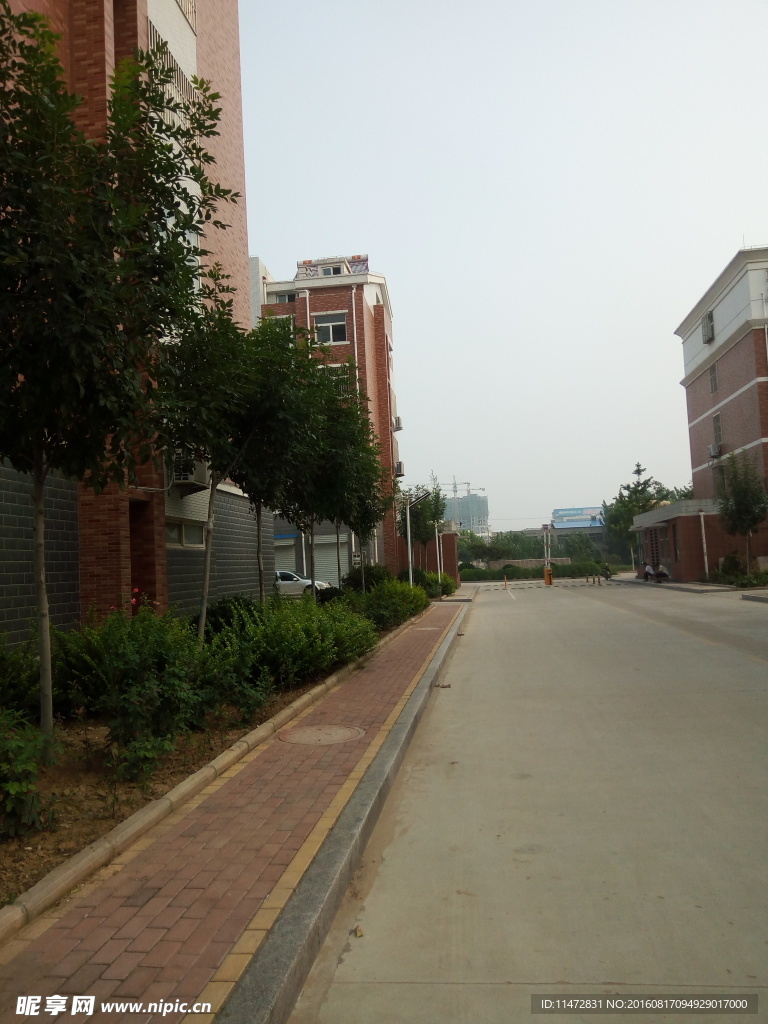 小区景色