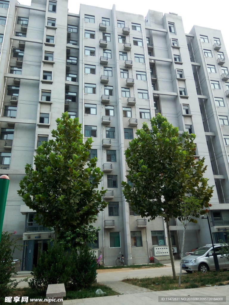 楼房