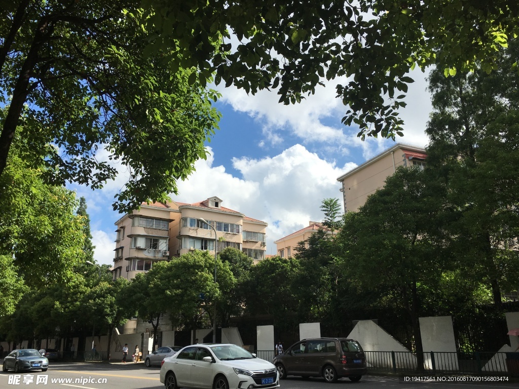 一抹绿中的天空