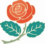 玫瑰花