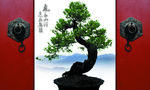中国传统文化