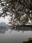湖景