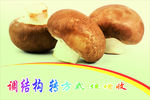 香菇