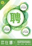 酸柠檬招聘