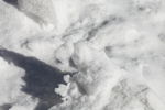 玉龙雪山