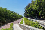 深圳宝安西湾红树林公园