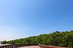 深圳宝安西湾红树林公园