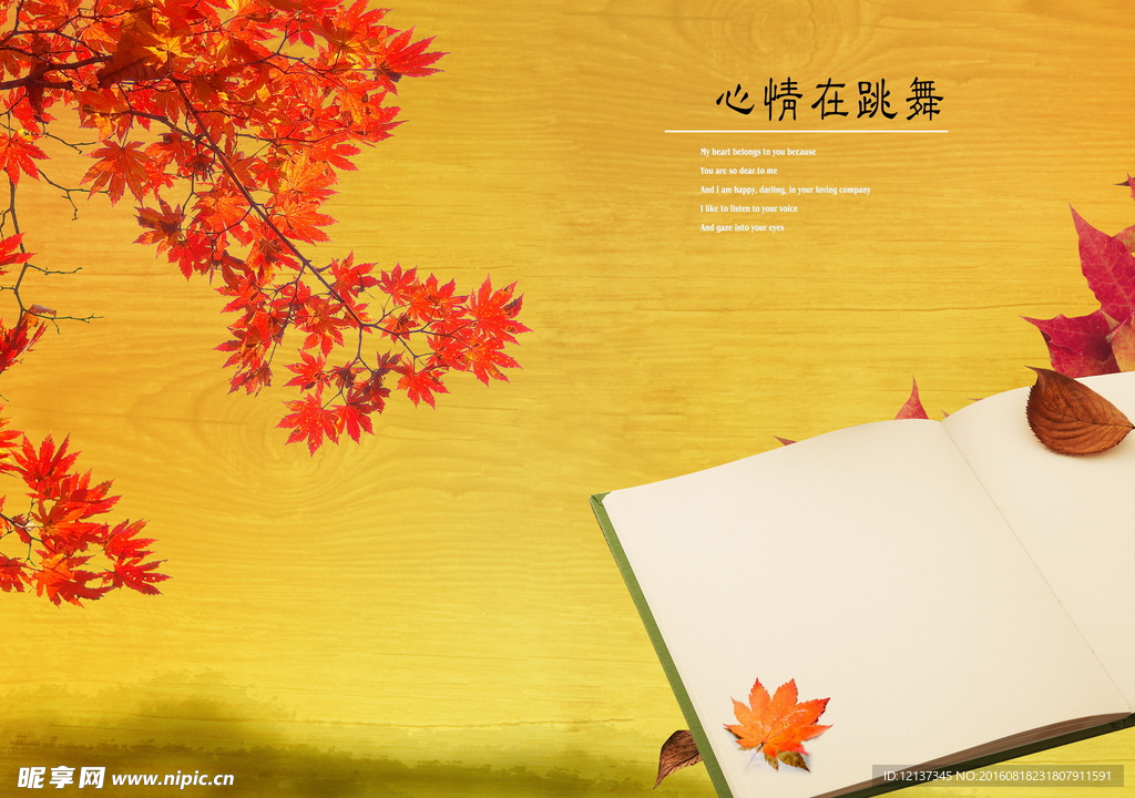 中国风 枫叶书