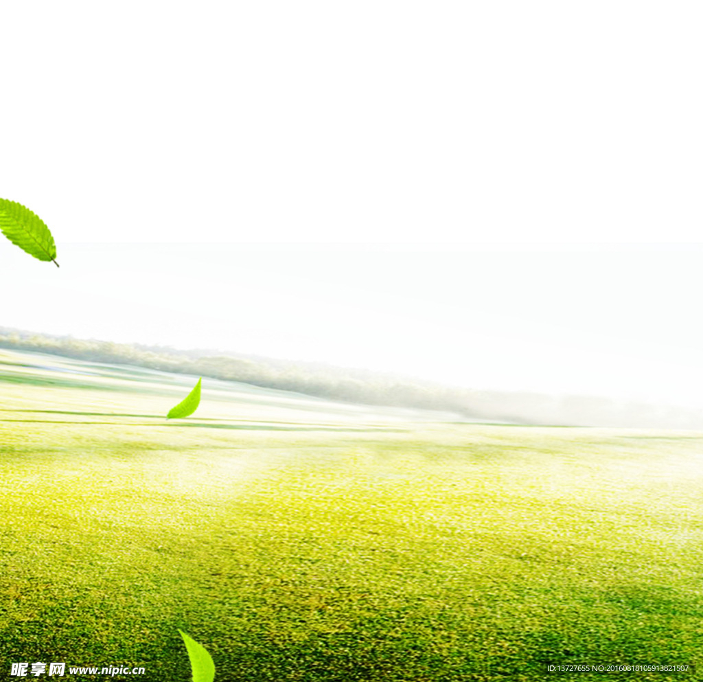 绿色草地直通车图主图