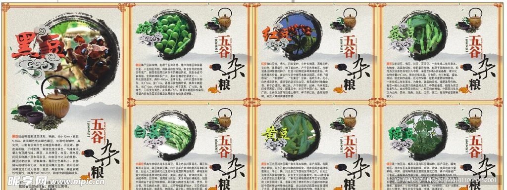 校园文化