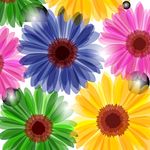 时尚花纹