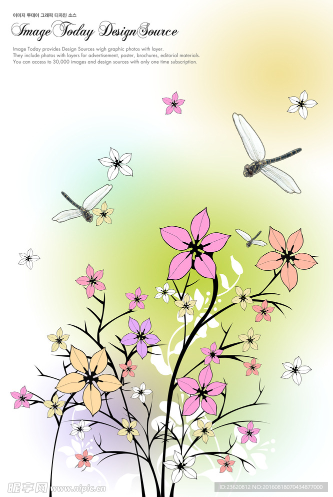 花纹