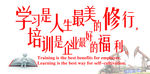 学习是员工最美的修行