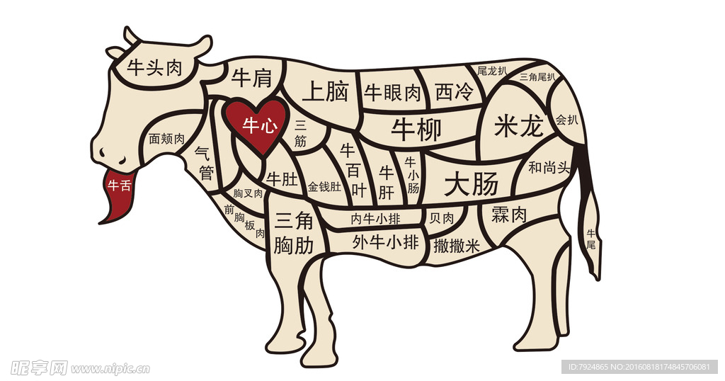 牛肉名称结构位置分布图