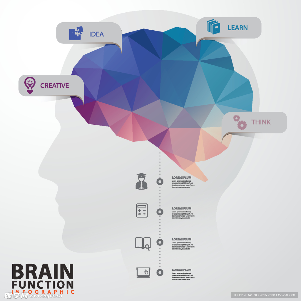 创意大脑功能信息图矢量素材
