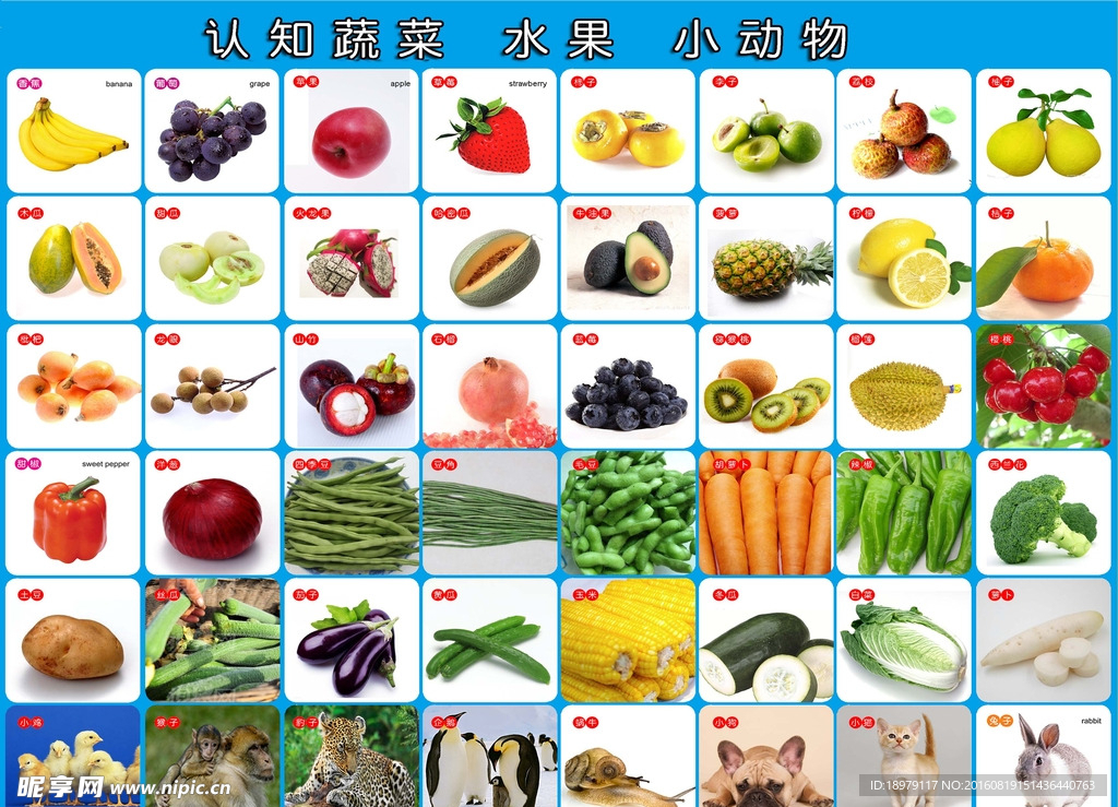 婴儿认知贴画