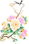 牡丹花开