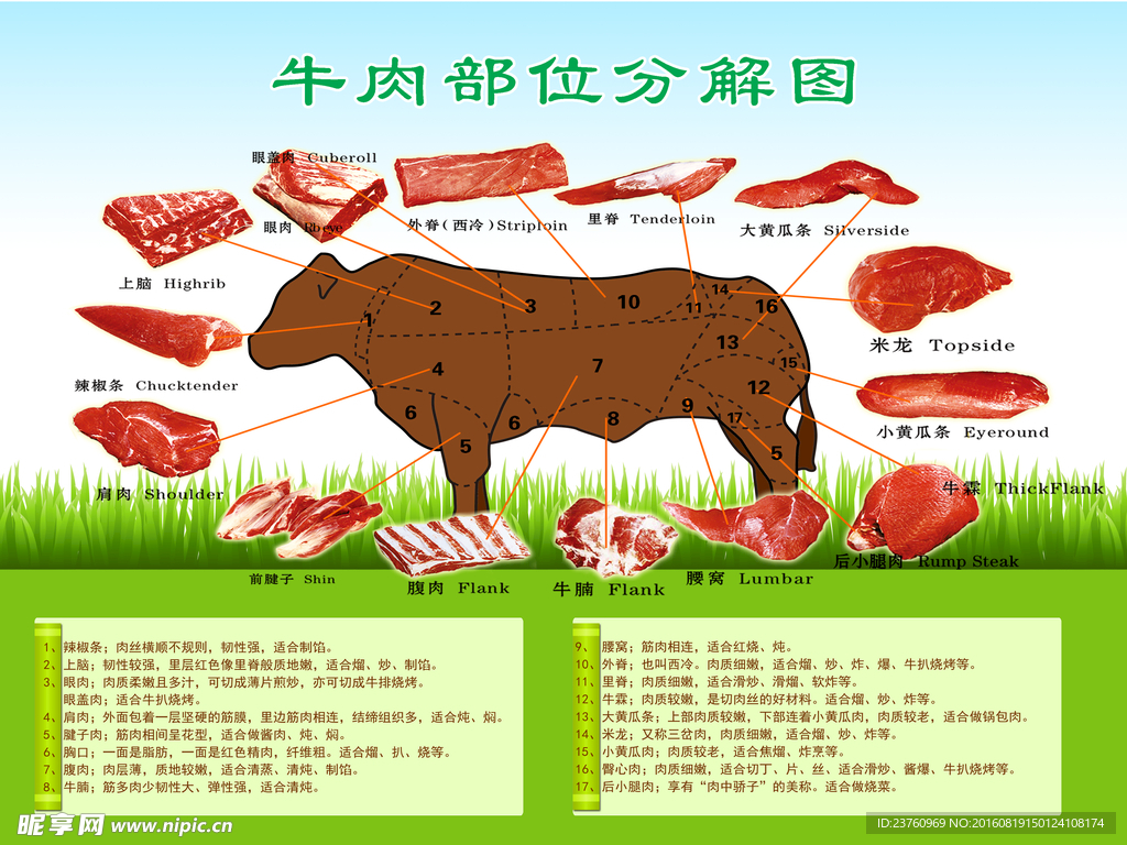 牛肉分解图