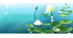 矢量莲花池