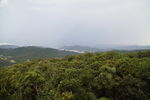 大海