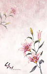 温馨唯美花纹背景底纹