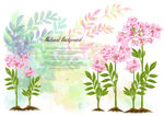浪漫唯美花草背景底纹
