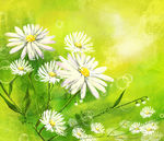 绿色唯美花朵背景底纹
