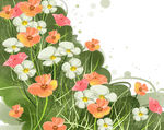 浪漫唯美花朵背景底纹