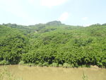 雨城山水