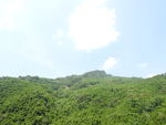 阳光下的青山