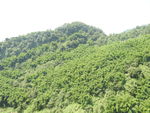青山