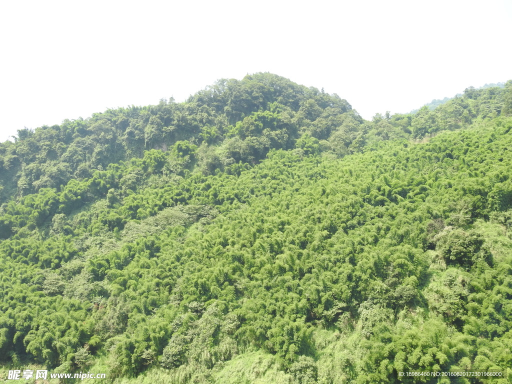 青山
