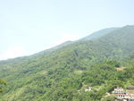 青山