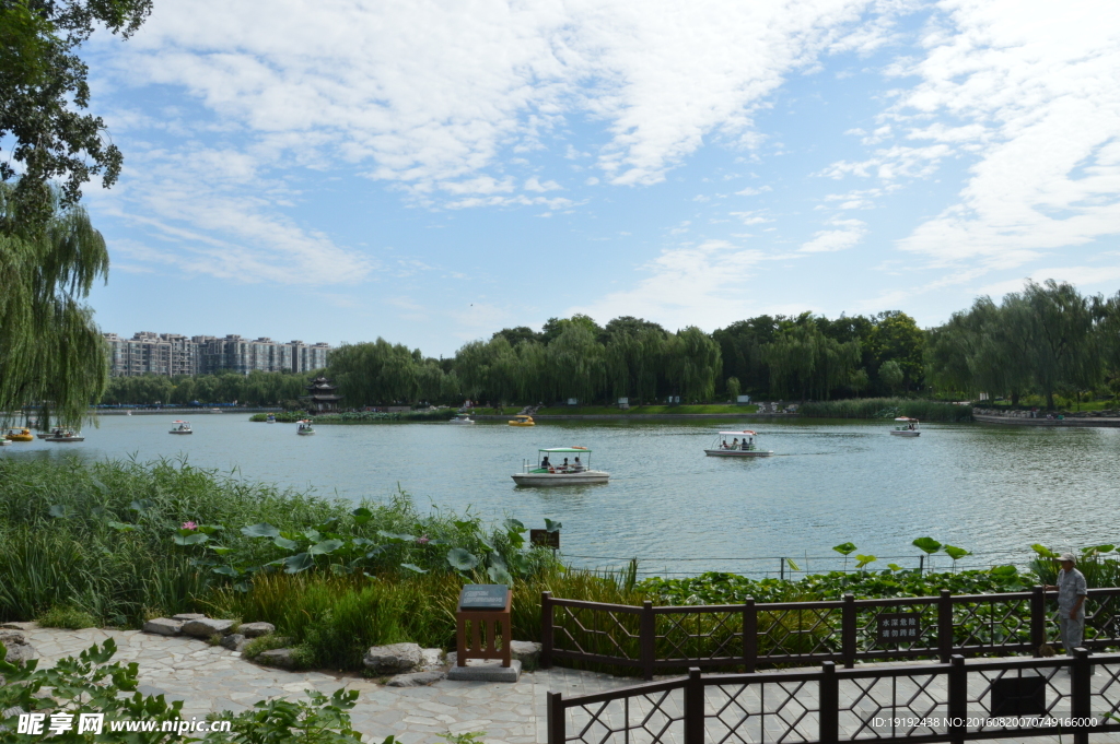 陶然亭风景
