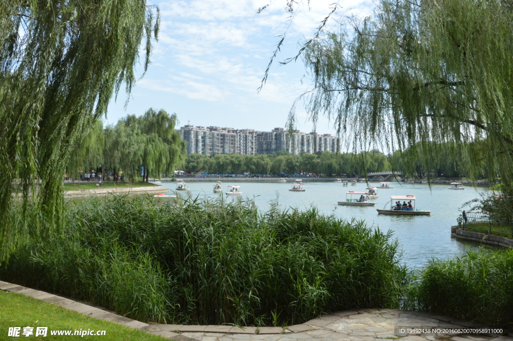 陶然亭风景