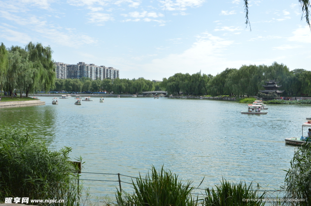陶然亭风景