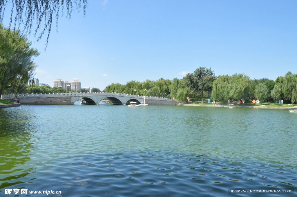 陶然亭风景