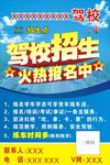 驾校招生