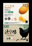 泸宁鸡包装贴
