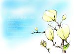 浪漫唯美花朵背景底纹