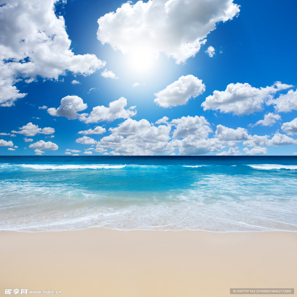 大海