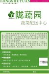 蔬菜   广告  绿色