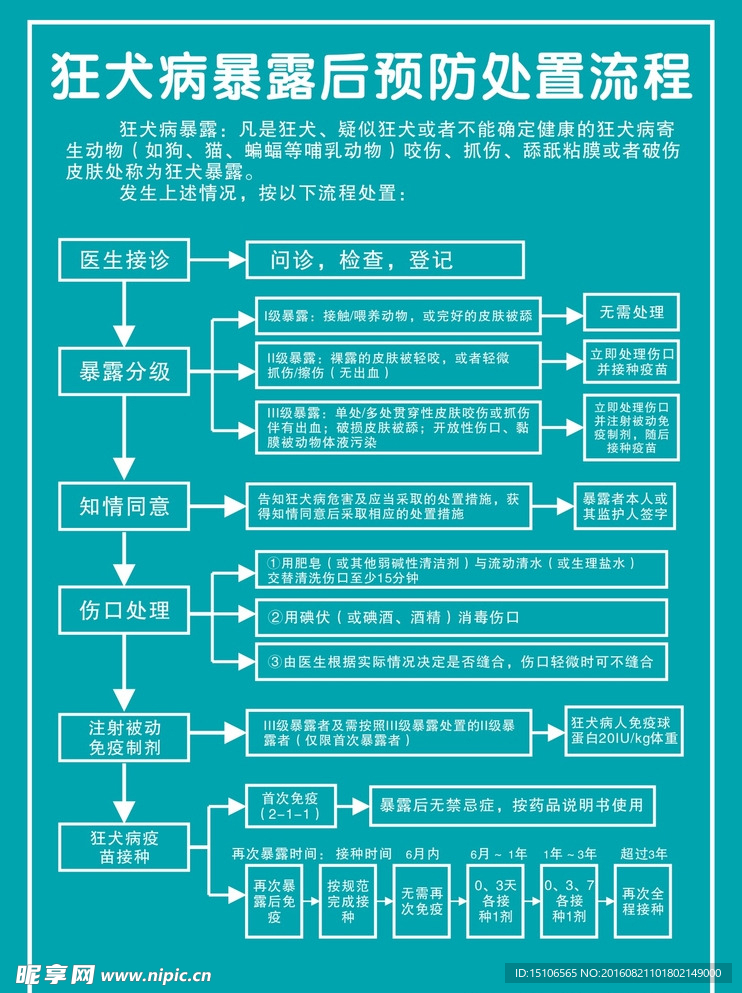 狂犬病流程