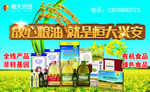 恒大粮油