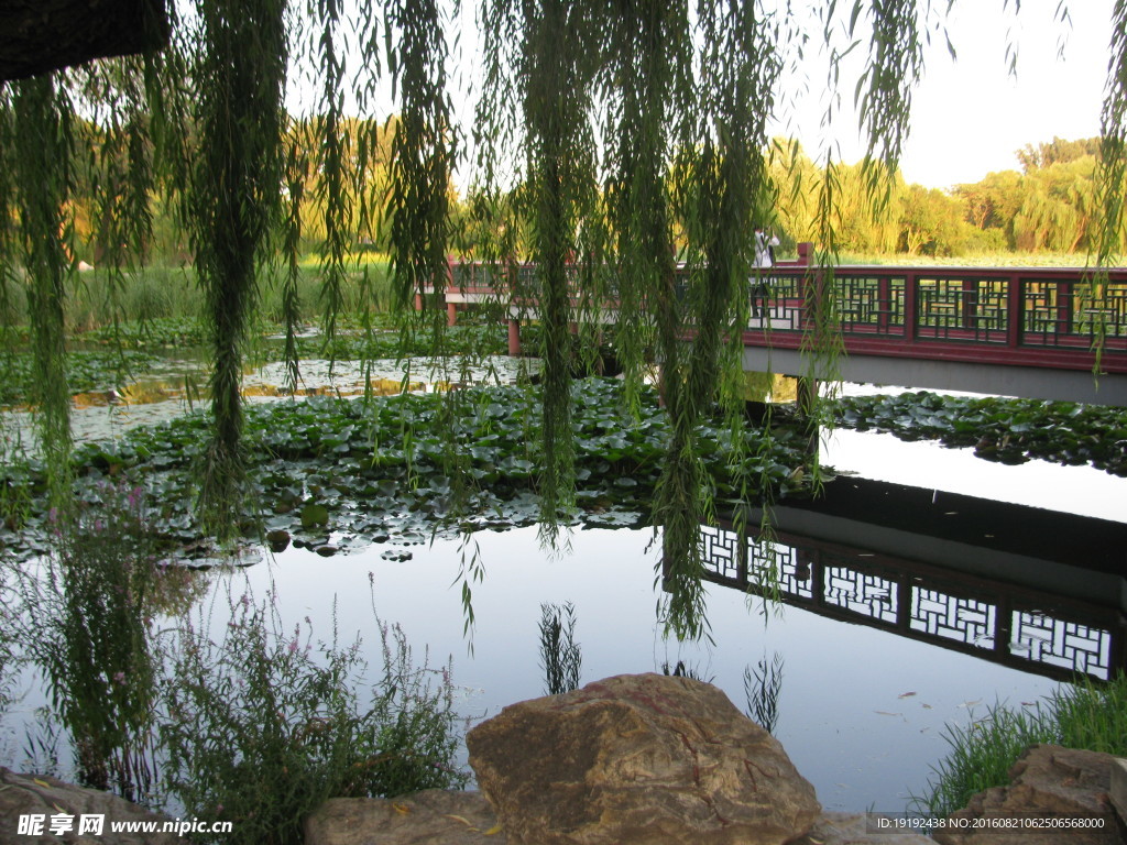 黄昏美景