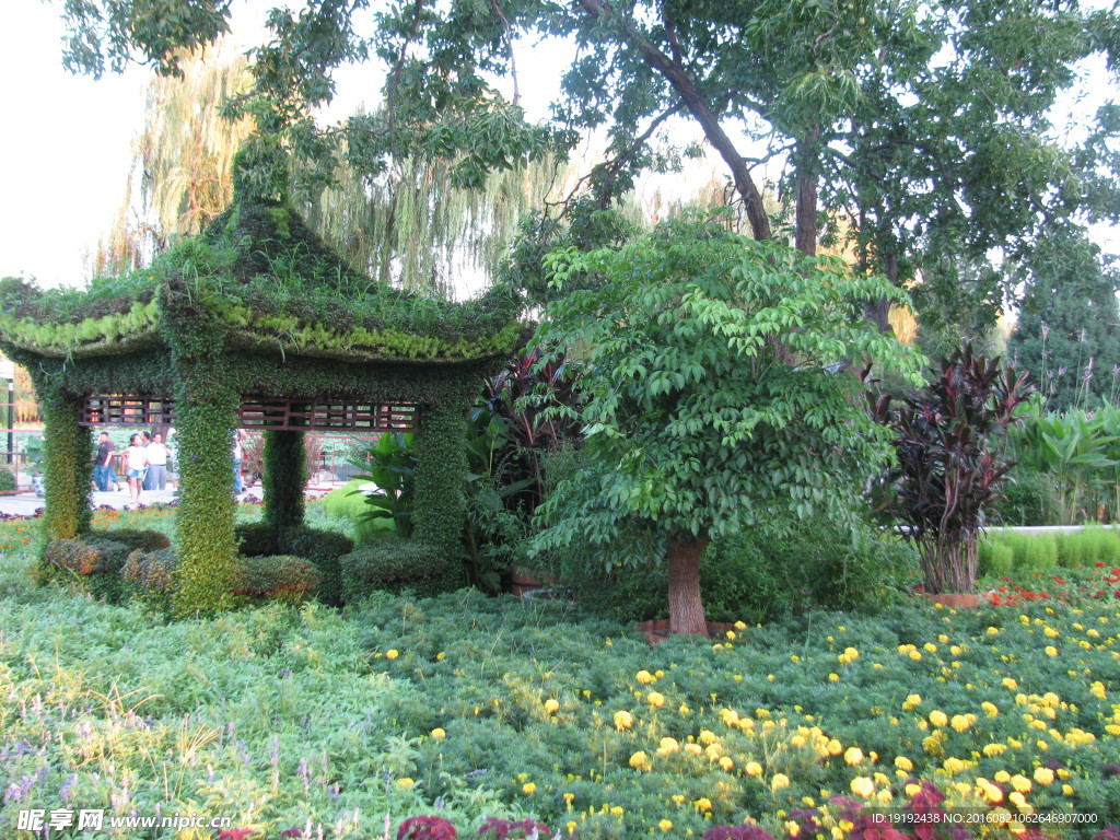 圆明园风景