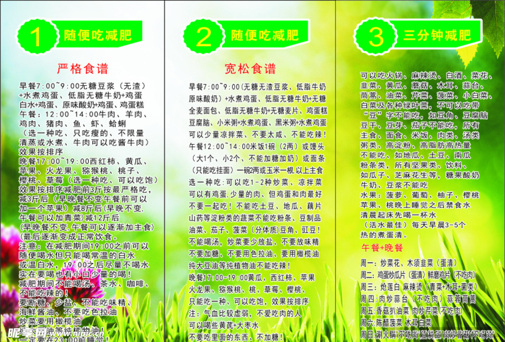 折页辟谷 养生 减肥 瘦身
