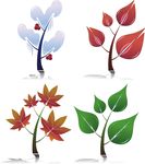 四季树木
