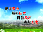 爱岗敬业